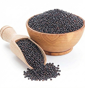 Mustard Seeds